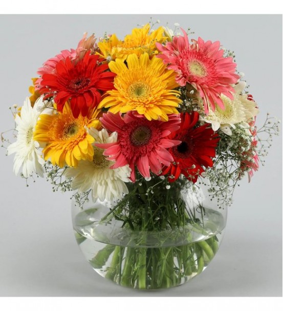 Renkli Gerbera Arajmanı