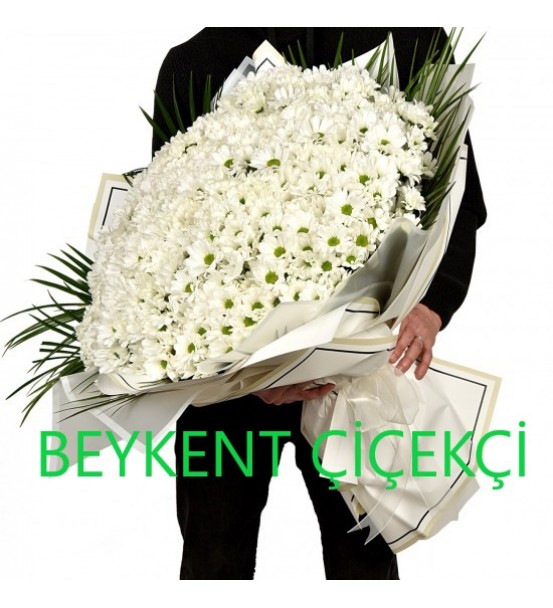 Kocaman Papatya Aşkı