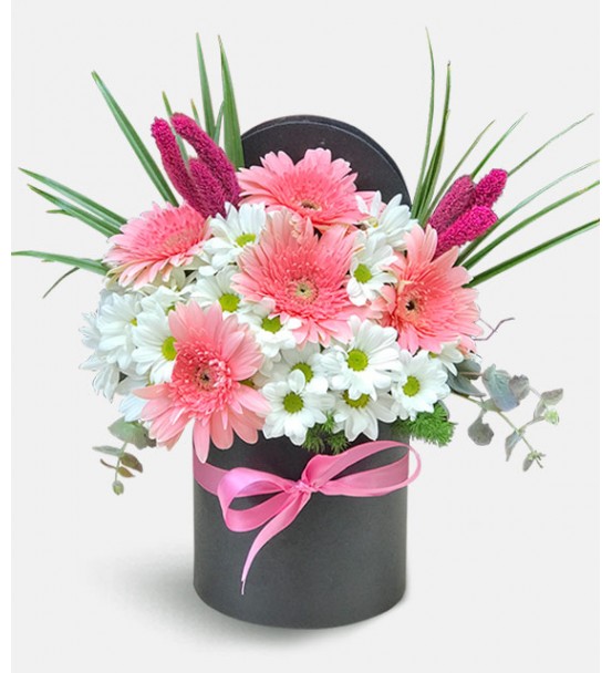 Kutuda Papatya Ve Gerbera